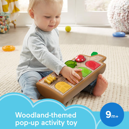 Fisher-Price Hide & Peek Pop-Up, Infant Activity Toy with Real Wood and Fabric Accents for Baby Ages 9 Months and Older