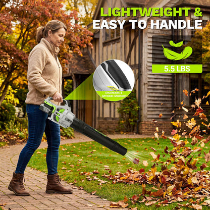 Leaf Blower Cordless, 650 CFM Electric Leaf Blowers with 2 x 4.0Ah Batteries and Charger, 2 Speed Modes, Lightweight Blower for Blowing Leaves, Patio, Yard Cleaning, Blowers for Lawn Care and Dust