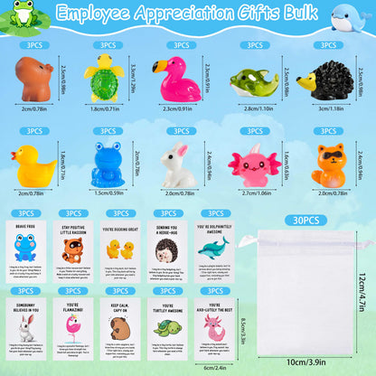 PAPPYN-A 30 Sets Employee Appreciation Gifts Bulk for Coworkers Team Staff Thank You Gifts Back to School Resin Animal Organza Bags Pun Inspirational Note Cards for Teacher Volunteer Nurse Office