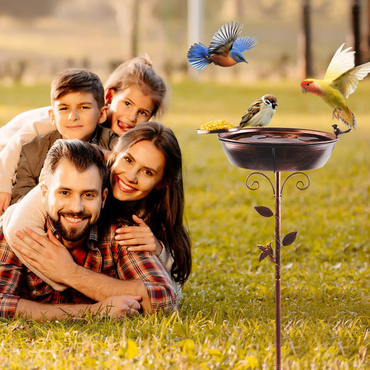 DTNESS 3" Deep 40" Tall Metal Bird Bath for Outdoors, 13" Dia 2-in-1 Removable Bird Baths Feeder Water Bowl, Vintage Standing Birdbaths with Stable Stake for Garden Yard Lawn Decor 1.5 Gallon