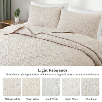 Exclusivo Mezcla Queen Quilt Bedding Set, Lightweight Soft Bedspreads Coverlets with 2 Pillow Shams, Modern Brich Beige Quilts Queen Full Size for All Seasons