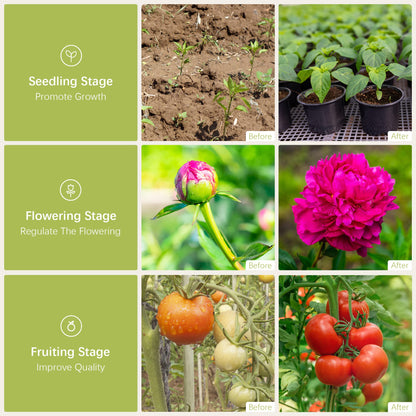 Danshinro Outdoor LED Grow Light, Waterproof String Plant Growing Light, 21 FT Full Spectrum Growth Light, Suitable for Garden, Farm, Flower, Seedling Greenhouse Grow Light (6 Light)