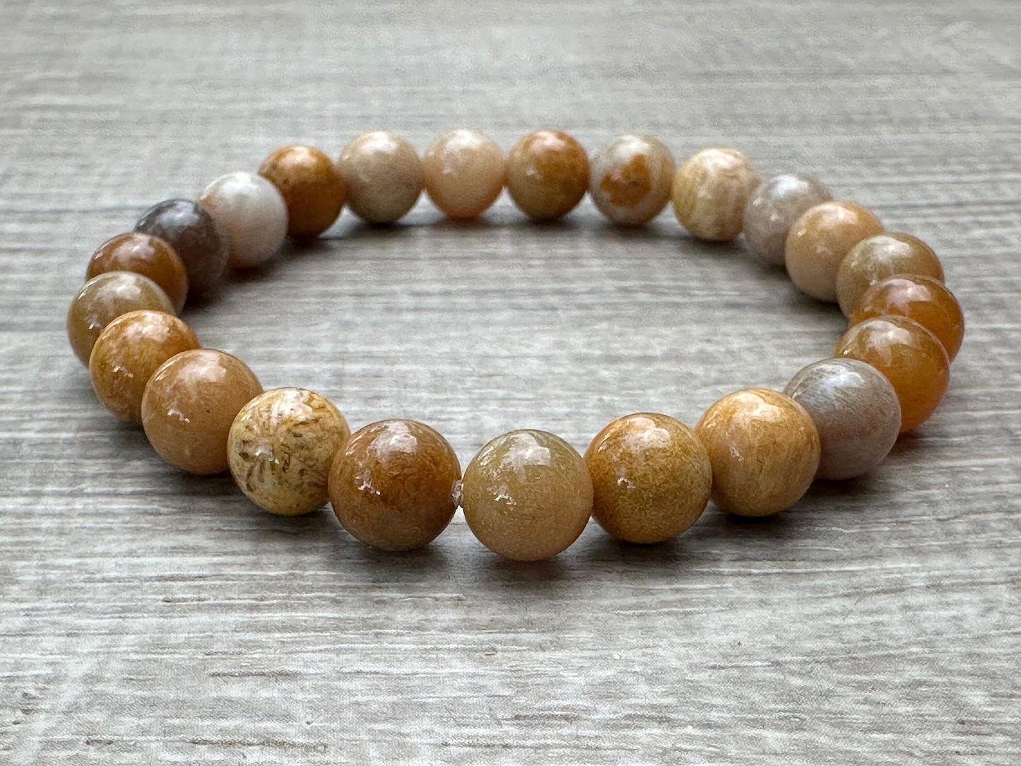 GAF TREASURES Fossil Coral Crystal Bead Bracelet 8mm, Genuine Fossil Coral Stretch Gemstone Bracelet, Healing Crystal Bracelet, Gift for Men & Women (1)