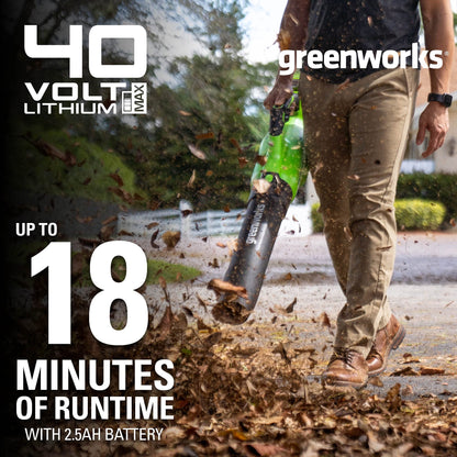 Greenworks 40V (120 MPH / 500 CFM) Leaf Blower, for damp autumn leaves, spring pollen, summer grass clippings, and winter debris across driveways, patios, Includes 2.5Ah Battery and Charger