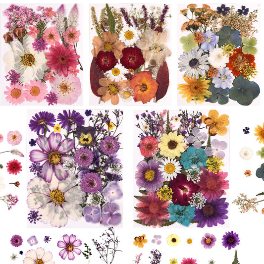 Cokosing 5 Packs of 140 Pressed Dried Flowers and Leaves Real Natural Dried Flowers with Tweezers for DIY Crafts, Resin Jewelry, Card Making, Soap, Candles, Nail Art, and Scrapbooking (5 Colors)