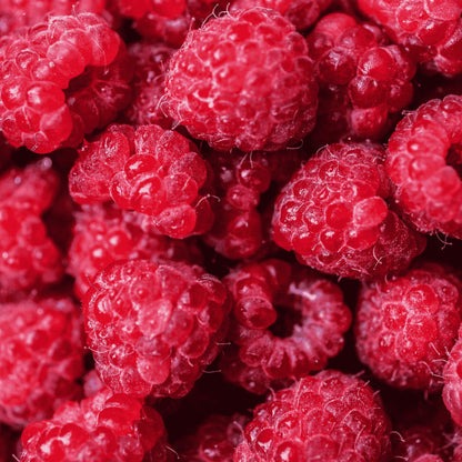 Caroline Raspberry Plants - Everbearing, Very Large Raspberries - Mature Raspberry Canes from Hand Picked Nursery (1)