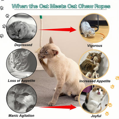 Cat Chew Toys Cat Toys, Silvervine Sticks for Cats Teeth Cleaning Rope, Kitten Teething Dental Care, Kitty for Indoor Cats Increase Appetite, Enhances Oral & Dental Health (21 Pack)