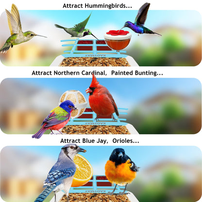 64GB Smart Bird Feeder with Camera Solar Powered, AI Identify 10K+ Bird Aves, 2K 3MP HD Live Video &Playback on Phone, 2.4G WiFi Birdhouse Camera Wireless Outdoor-Watching House (Light Blue)