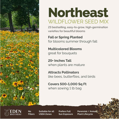 Eden Brothers Northeast Wildflower Mixed Seeds for Planting, 1 lb, 480,000+ Seeds with Cosmos, Candytuft, Shasta Daisy | Attracts Pollinators, Plant in Spring or Fall, Zones 3, 4, 5, 6, 7, 8, 9, 10