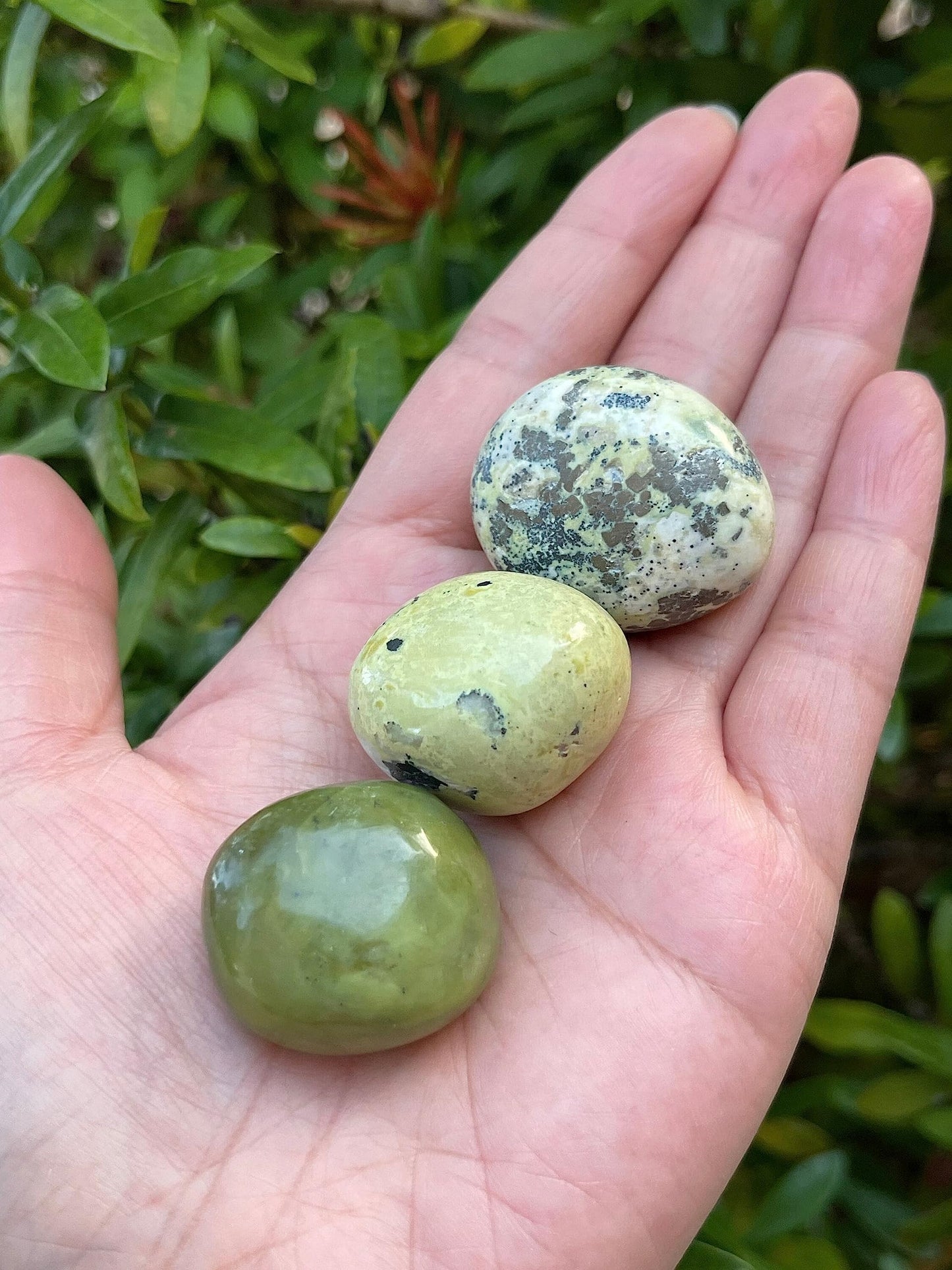 WHOLESALE Serpentine Tumbled Stones, Polished Serpentine Gemstone, Serpentine Polished Rocks (Serpentine, 0.25 Pound)