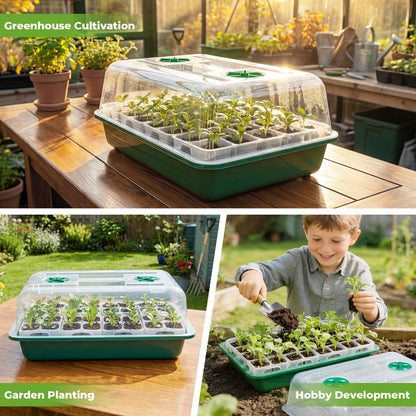 HIRALIY 80 Cell Seed Starter Tray Kits, Reusable Plant Germination Trays, Easy Transplanting, with Humidity Domes and Bases, for Starting Vegetable, Flower & Herb Seeds, Indoor Gardening, Greenhouse
