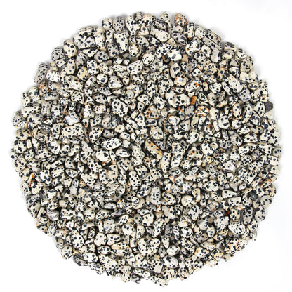 1.1lb Natural Crushed Dalmatian Jasper Crystal Tumbled Chips-Healing Crystals Chips Bulk, Crushed Crystal Gemstones for Crafts, Beautiful Package for Gift (Dalmatian Jasper)
