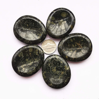Bacatgem Natural Kambaba Jasper Water Drop Chakra Thumb Worry Stone,Stress Relax Healing Reiki Crystal Pocket Palm Stones