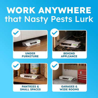 BugMD Indoor Cockroach Killer & Roach Trap - Sticky Insect, Spider, Cricket Control for Home - Glue Traps Pest Defense, 12 Pack Sticky Bug Solution