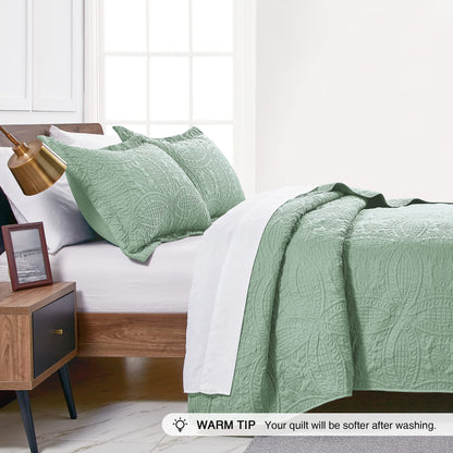 Love's cabin Quilts for Queen Bed Sage Bedspreads - Soft Bed Summer Lightweight Bedspread Comforter - Modern Style Coin Pattern Coverlet for All Season - 3 Pieces (1 Quilt, 2 Pillow Shams)