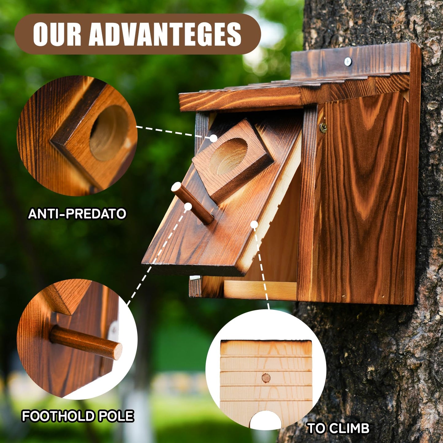 Waterproof Wooden Blue Bird House, Spray Paint Treatment Bluebird Box Houses for Outdoors, Nesting Box for Wrens, Swallows, Finches, Chickadee (Wood)