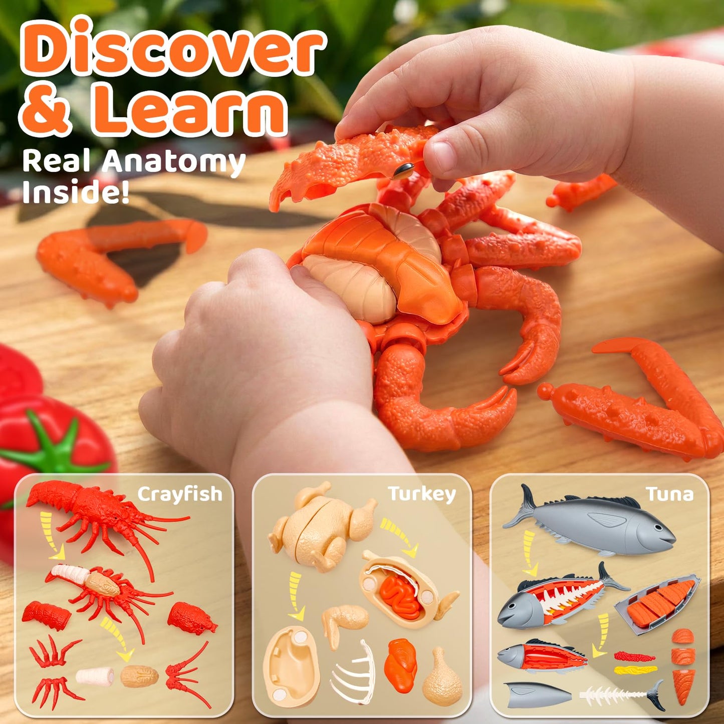 22pcs Play Seafood Cut Toys Set for Kids Play Kitchen, Montessori Toddler Kitchen Playset with Toy Food & Fake Fruit, Kitchen Set for Kids & Toddler Cutting Set, Kitchen Toys for Boys Girls Ages 3 4 5