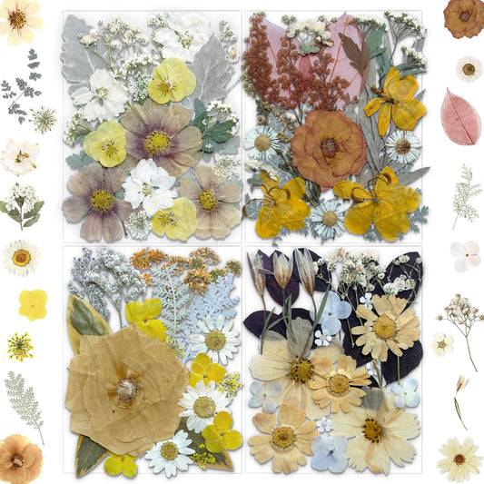 MIKIYA 90Pcs Dried Pressed Flowers for Resin Molds, Vintage White Bulk Real Natural Dry Floral for DIY Art Crafts, Epoxy Jewelry, Candle, Soap Making, Nails Decor, Phone Case