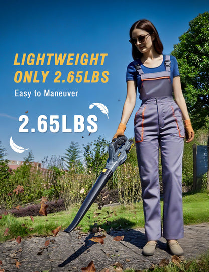 RIDA Lightweight Cordless Leaf Blower, Handheld Electric Blower with 2Pcs 2.0Ah Batteries & Fast Charger, Portable for Lawn Patio Yard Car Dust Cleaning, Easy Operation for Women & Seniors