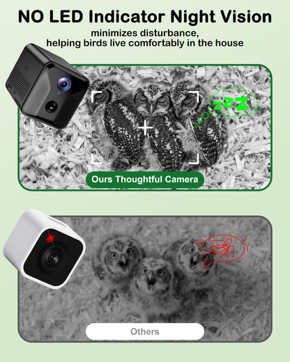 Owl House with Camera Solar Powered,4G Cellular, Anti-Corrosion Varnish Pinewood,Owls Nesting Box for Screech owl, 2K HD, Instant Alerts, Night Vision, APP Control,Nest Box for Outside（NOT WiFi）