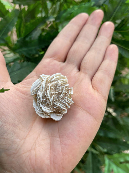 GAF TREASURES Wholesale Raw Desert Rose Crystals, Natural Desert Rose Stone, Natural Rough Desert Rose Crystals, Desert Rose Rough, Desert Rose Healing Crystals (Desert Rose, 0.5 Pound)