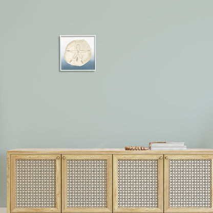 Stupell Industries 'Beige Sand Dollar Seashell', Framed Giclee Art, White, 12 x 12 Inches, Easy to Hang and Sturdy, Made in USA, by Lucille Price