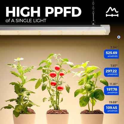 Barrina TX72 Grow Light for Indoor Plants, 4FT, 288W(4 x 72W, 2000W Equivalent), Full Spectrum with 660nm Red LEDs, High PPFD, Mechanical Timer, Linkable, Hanging Plant Lights for Greenhouse, 4 Pack