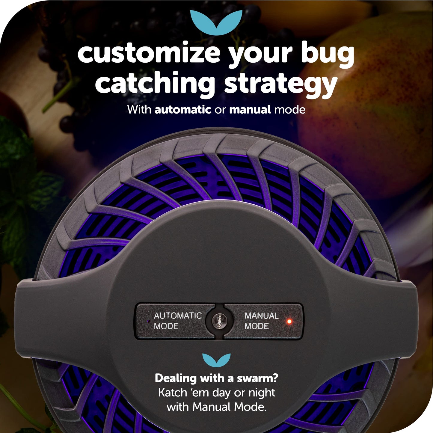 Katchy Midnight Indoor Insect Trap – Auto/Manual Mode – Blue Light & Fan Suction Catcher for Mosquito, Fruit Fly, Gnat, Fungus Gnat & Moth – Ideal for Kitchen & Indoor Plants (Black)