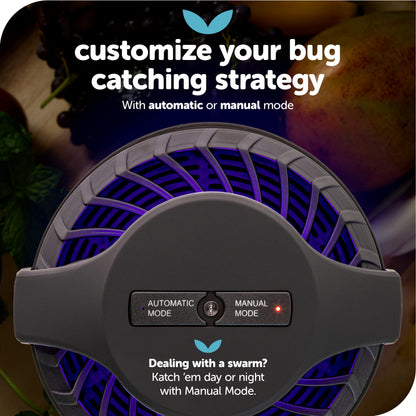 Katchy Midnight Indoor Insect Trap – Auto/Manual Mode – Blue Light & Fan Suction Catcher for Mosquito, Fruit Fly, Gnat, Fungus Gnat & Moth – Ideal for Kitchen & Indoor Plants (Black)