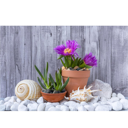 VINICS Large River Rocks for Landscaping 20lbs, 3-4 Inch White River Rocks, Hand-Picked Natural Stones for Garden Design Fish Tank, Pathways and Backyard