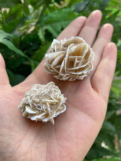 GAF TREASURES Wholesale Raw Desert Rose Crystals, Natural Desert Rose Stone, Natural Rough Desert Rose Crystals, Desert Rose Rough, Desert Rose Healing Crystals (Desert Rose, 0.5 Pound)