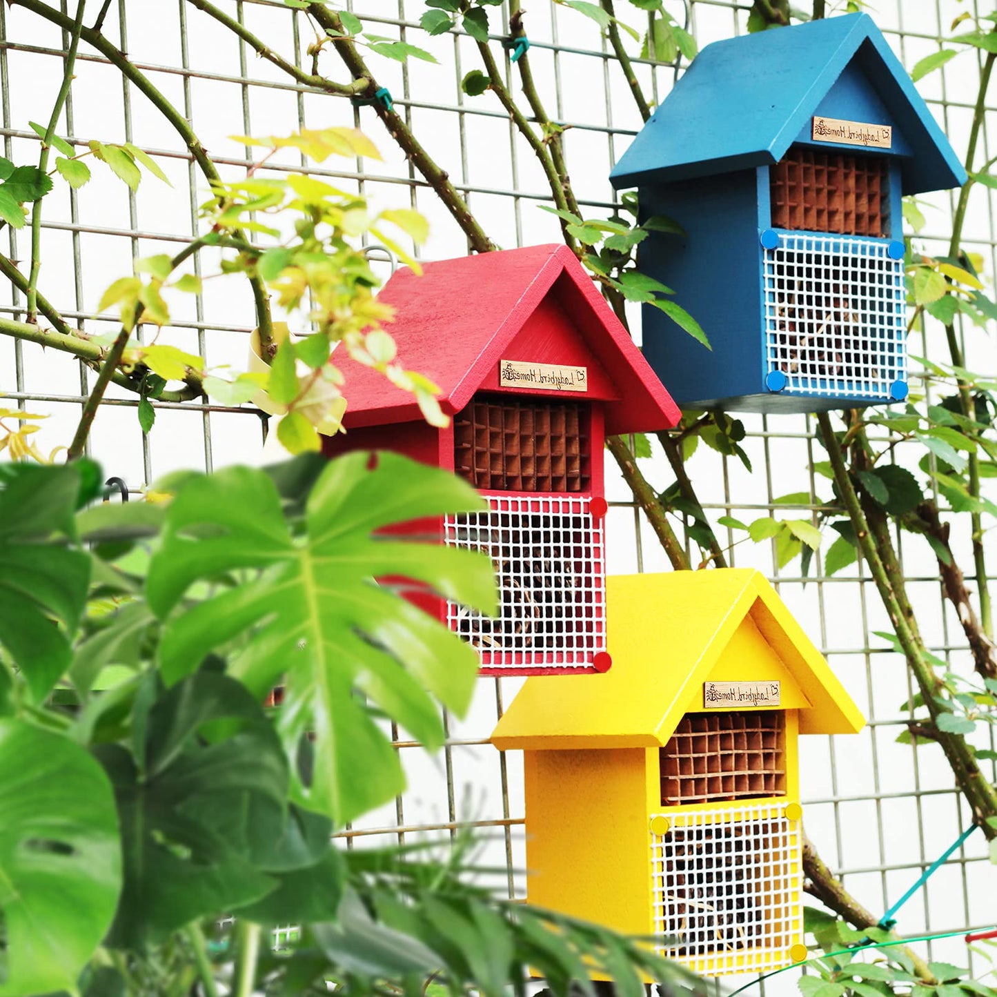 CEDAR ALPHA 4 Pack DIY Insect Hotel Kit, Backyard Insect House, Solid Wood 5.9"x 7.7"x 4.7", UVcoating Painted, Bee House, Nesting Habitat Shelters, Garden Shelter for Bees, Butterflies, Bugs