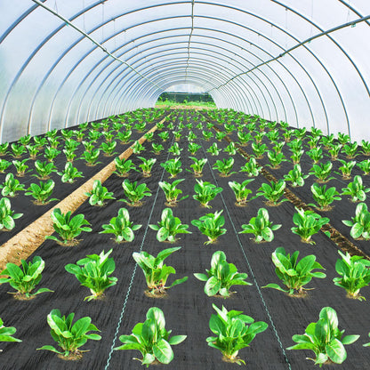 Pattiumo Weed Barrier Fabric 3x180FT Landscape Fabric 3.2oz Weed Barrier Fabric Heavy Duty for Landscaping Fabric Garden Fabric Weed Barrier Weed Blocker Garden Bed Cover, Commercial Driveway