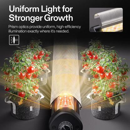 VIVOSUN LumaRay Under Canopy Grow Light, Full Spectrum Dimmable LED Grow Lights for Grow Tents, Greenhouses, SGS Compatible, 100W, 3.28 ft, 1 Pack