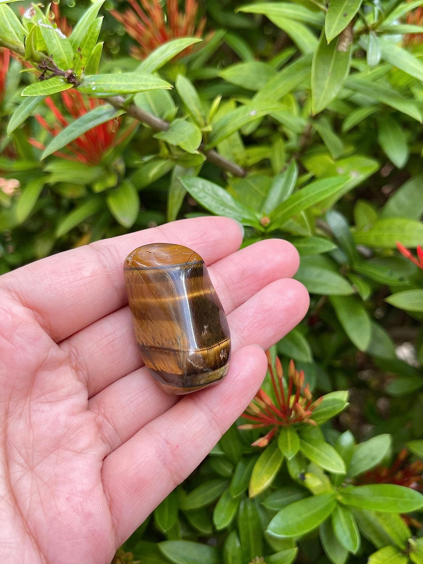 GAF TREASURES Wholesale Tiger Eye Tumbled Stones, Polished Natural Tiger Eye Gemstone, Tiger Eye Polished Rocks (Tiger Eye, 0.25 Pound)