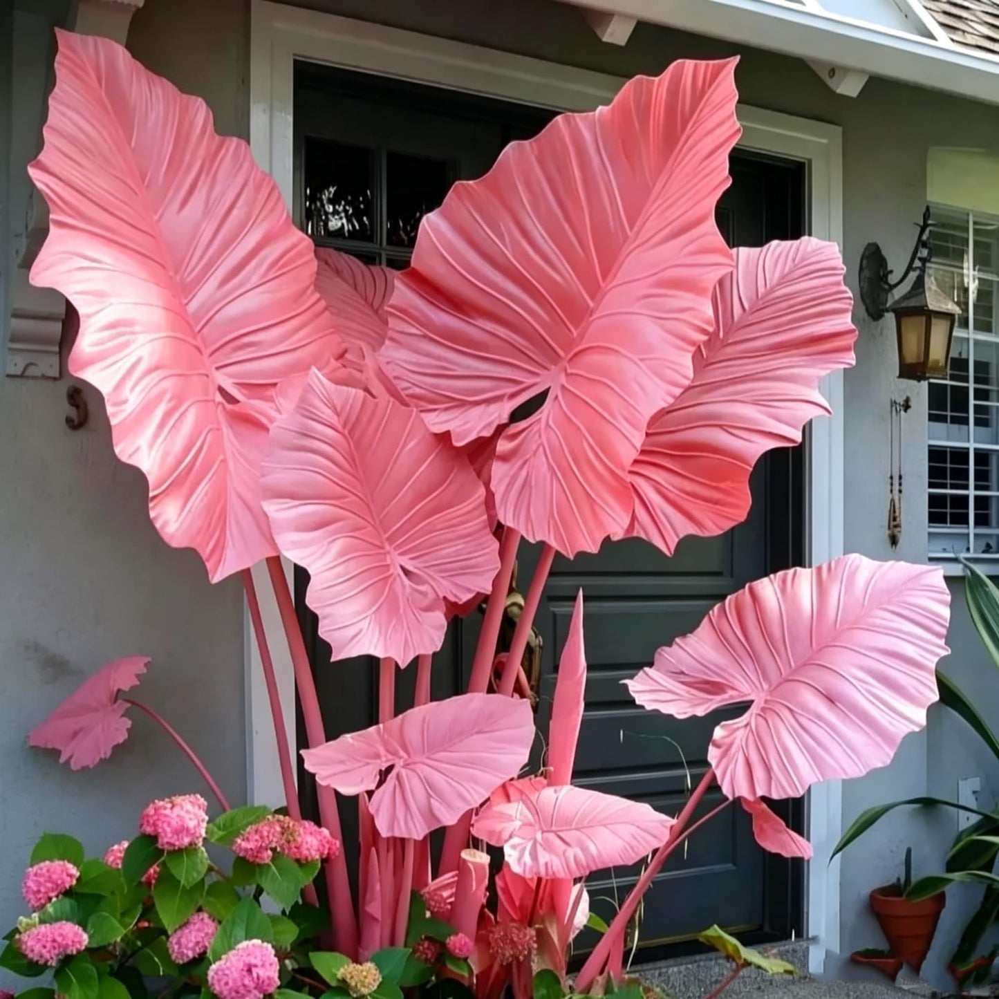 QYTGVSZ MEDSYTIJD Shaped Elephant Ears, a clumping, Shade-Tolerant and Easy-to-Care-for Plant, is Suitable for Outdoor Gardens and Potted environments.-4bulbs