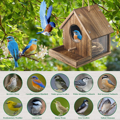 DIY Wooden Hummingbird House Kit for Outside Hanging, Ideal Bluebird Hummingbird House for Outdoors With Transparent Viewing Window, Built-in Bird Feeder, Gift for Bird Lovers, Great Garden Decoration