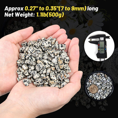 1.1lb Natural Crushed Dalmatian Jasper Crystal Tumbled Chips-Healing Crystals Chips Bulk, Crushed Crystal Gemstones for Crafts, Beautiful Package for Gift (Dalmatian Jasper)