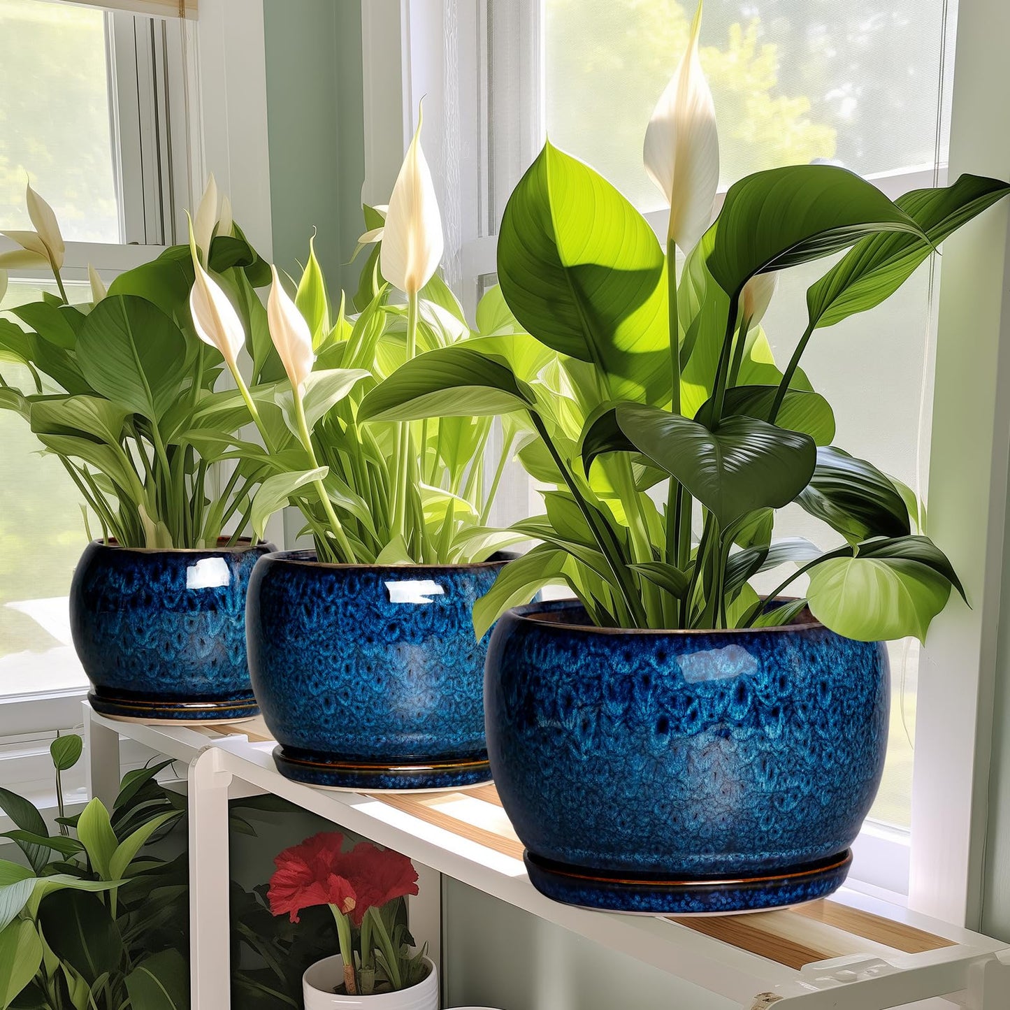 SQOWL Ceramic Planter 8 Inch - Pot for Indoor Outdoor Plants Round Ceramic Plant Pot with Drainage Hole and Saucer Modern Flower Pot Glazed Blue