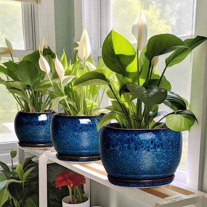 SQOWL Ceramic Planter 8 Inch - Pot for Indoor Outdoor Plants Round Ceramic Plant Pot with Drainage Hole and Saucer Modern Flower Pot Glazed Blue