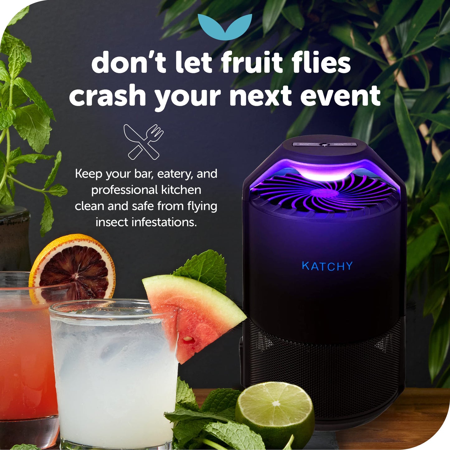 Katchy Midnight Indoor Insect Trap – Auto/Manual Mode – Blue Light & Fan Suction Catcher for Mosquito, Fruit Fly, Gnat, Fungus Gnat & Moth – Ideal for Kitchen & Indoor Plants (Black)