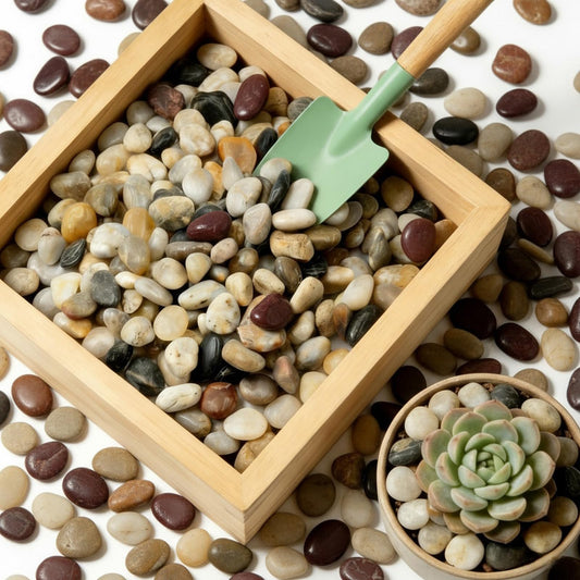 MENGDEWEI Polished Mixed River Rocks, 5/8 Inch Multi-Color Decorative Pebbles for Aquarium, Landscaping, Plant Decor & Vase Fillers,Natural Polished Mixed Stones for Garden, Crafts-6LB