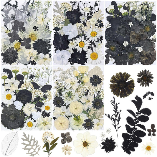 Nuanchu 167 Pcs Real Dried Pressed Flowers Natural Dried Flowers Colorful Daisy Mixed Wildflowers Leave for DIY Candle Resin Nails Jewelry Pendant Crafts Floral Art(Black White,Vintage Style)