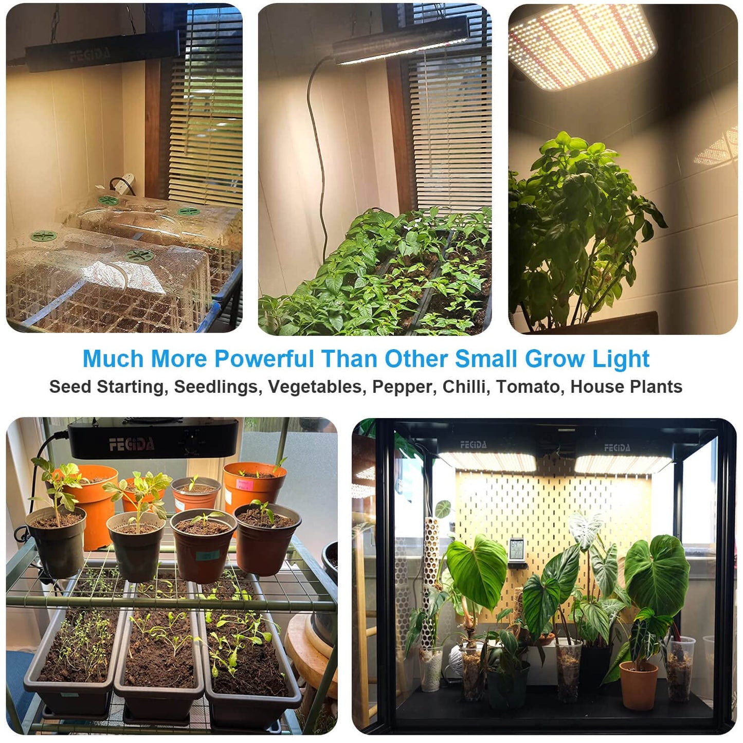 FECiDA 600W Equivalent LED Grow Light, 65W True Power Full Spectrum Plant Light, 0–100% Dimmable, Daisy Chain, Quiet Cooling Fan for Indoor Plants Seedling Veg Bloom