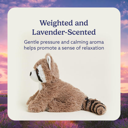 warmies Microwavable & Weighted Stuffed Animals, Raccoon - Heated Stuffed Animal Plushie for Warmth & Comfort - Cute Soft Plush Toys for Adults & Children (Boys, Girls, Babies & Toddlers)