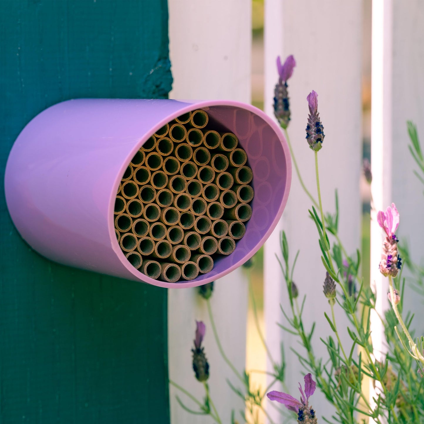 Rivajam Color Splash Mason Bee House - Vibrant & Strong Waterproof Bee Hotel & Insect Habitat - Mason Bee Tubes Filled Bee Houses for The Garden - Pollinator House Bug Hotel Gardening Gifts