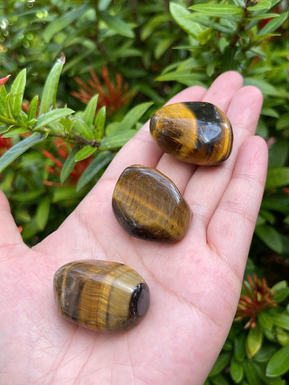 GAF TREASURES 5 Pcs Tiger Eye Tumbled Stones, Polished Natural Tiger Eye Gemstone, Tiger Eye Healing Crystals (Tiger Eye)