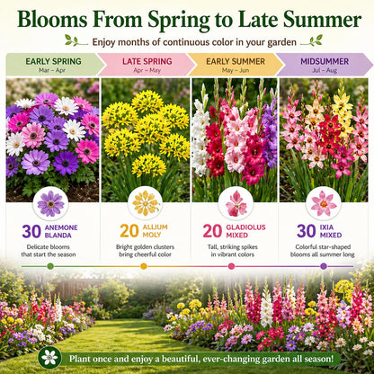 100 Premium Bulbs for Spring and Summer Flower Mix – Anemone, Gladiolus, Allium & Ixia – Easy-Grow Perennial Garden Flowers – Attracts Bees, Butterflies & Hummingbirds – Outdoor Planting