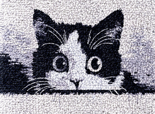Black and White Cat Cute Latch Hook Rug Kit for Adults DIY Carpet Cushion with Printed Canvas Crochet Yarn Craft Hook and Latch Tapestry for Home Decor Pets Warm Pads 52x38cm(2)
