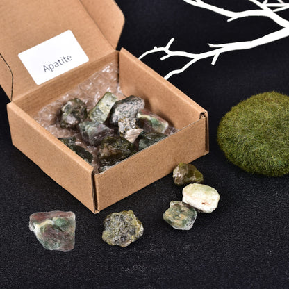 JIC Gem 12-16Pcs 0.7 Lbs Natural Green Apatite Quartz Crystals Bulk raw Stones Irregular Shape Madagascar Natural Quartz Crystals Rough Stones